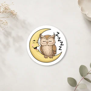 Thinking Owl Coaster