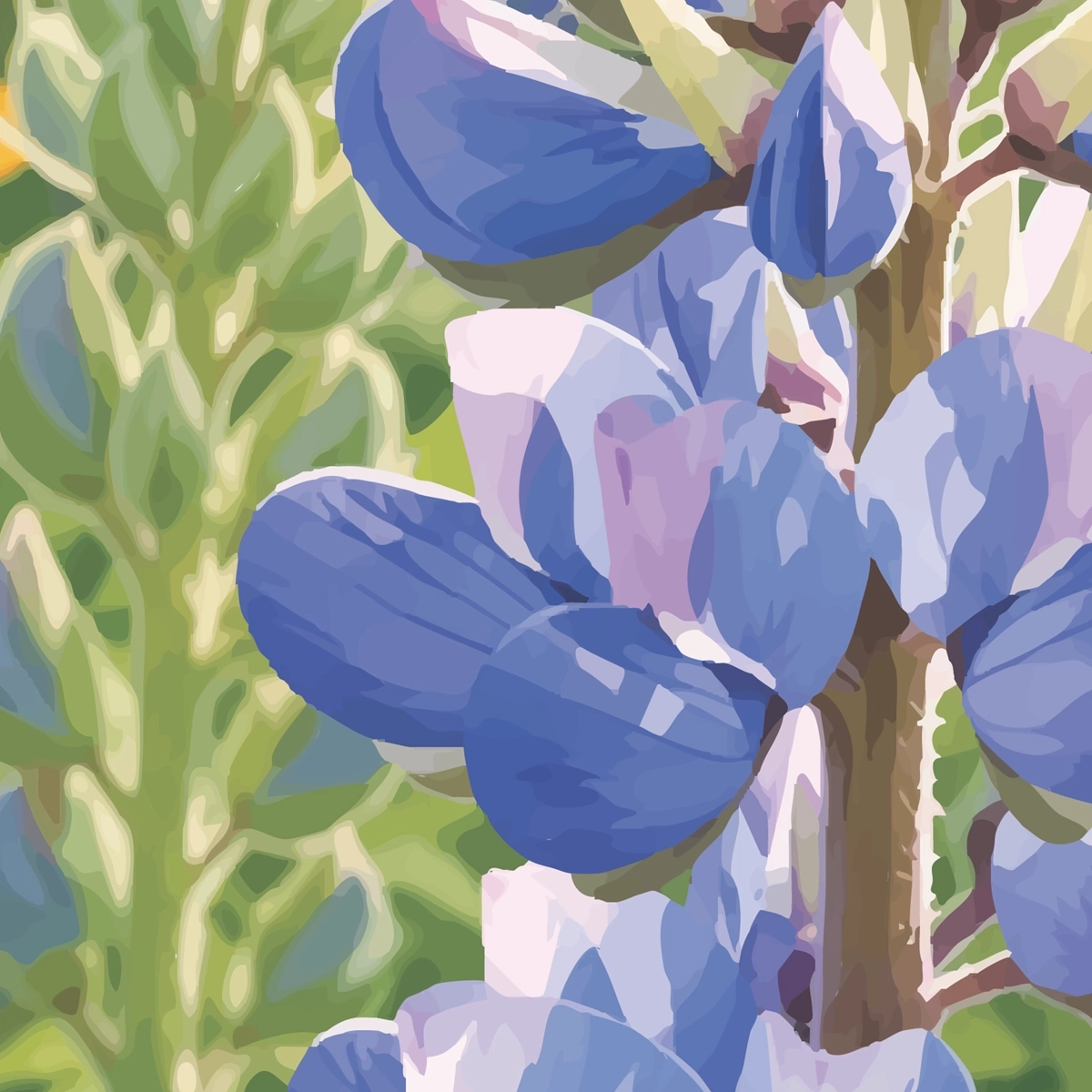 Bluebonnet Glow Framed Poster_FR_035_WH_2