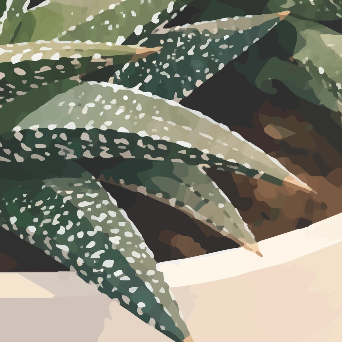 Succulent Sanctuary Framed Poster_FR_031_Closup_4