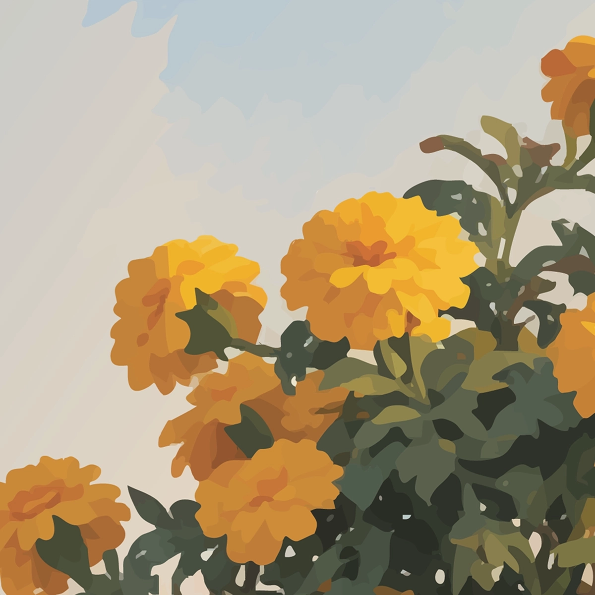 Sunlit Marigolds Framed poster